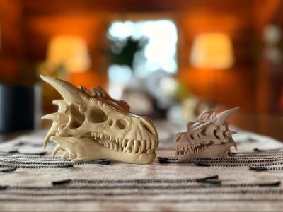 Dragon Skull Fossil