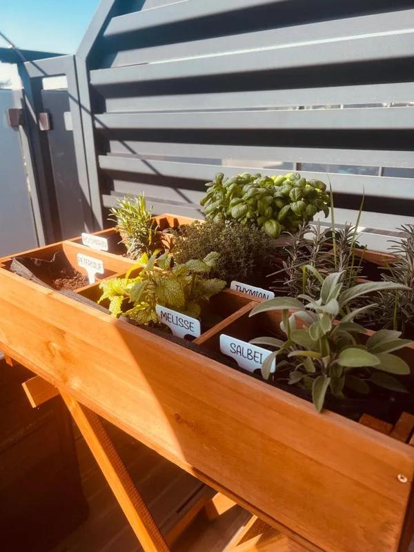 Etiketten für Blumentopf – Colection