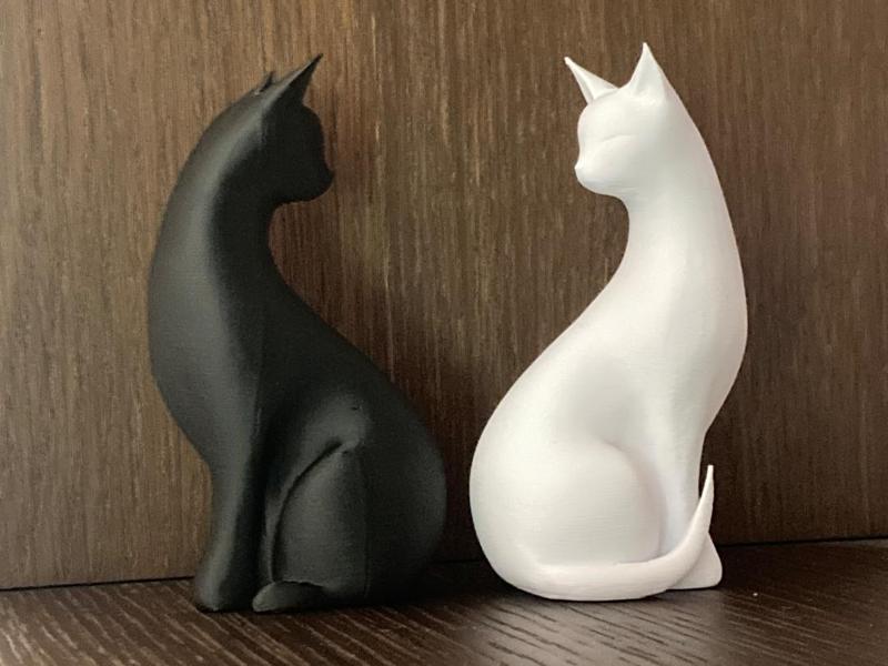Cats Home Design