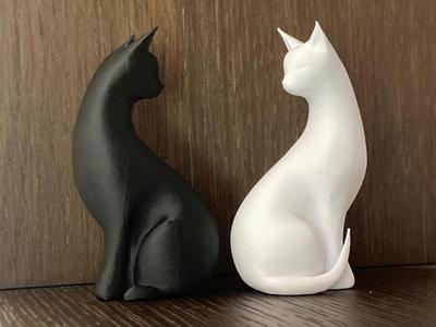 Cats Home Design