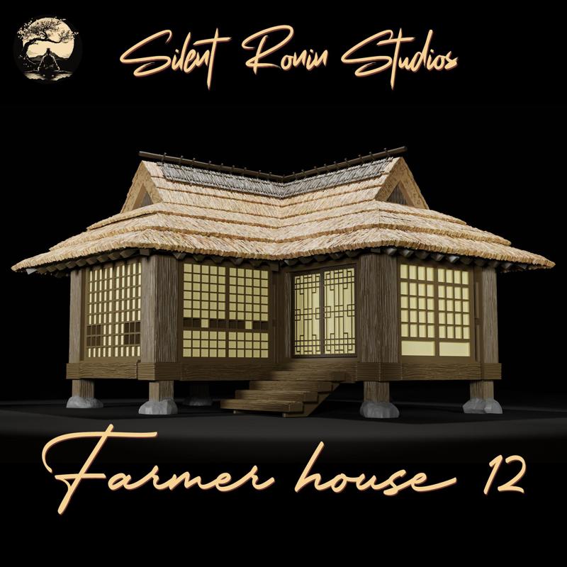 Japanese Farmer Village House #12 (assembly guide included)