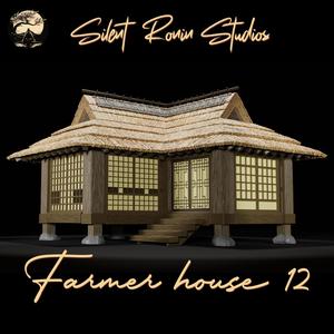 Japanese Farmer Village House #12 (assembly guide included)