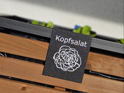 Raised Bed Labels