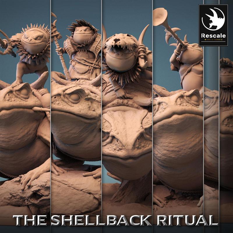 Pack ShellBack Mount