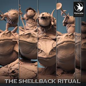 Pack ShellBack Mount