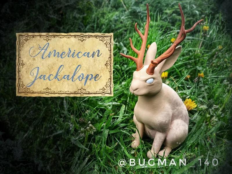 American Jackalope   