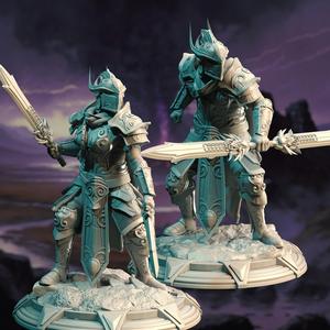High Elven Vanguards