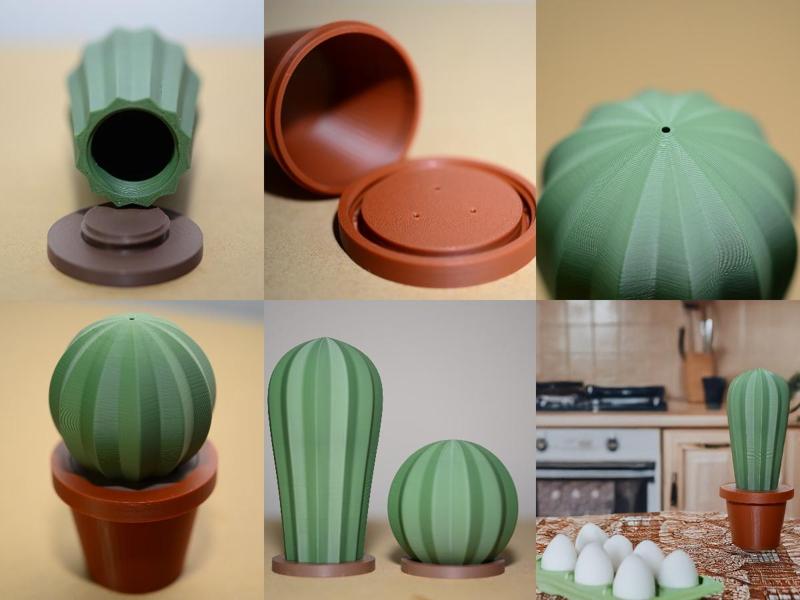 Minimalist Cactus Salt and Pepper Shakers