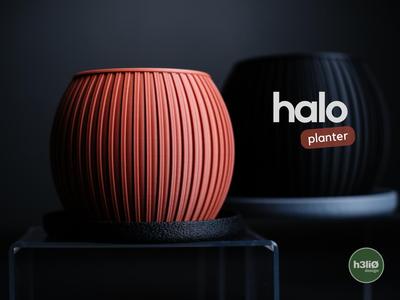 halo · planter