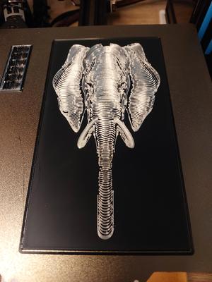 Elephant Portrait 1