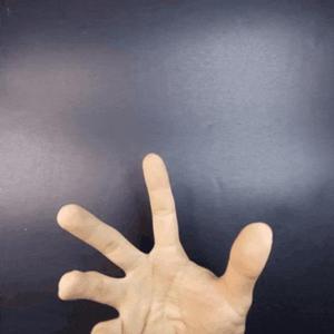 Santa Claus Hand Puppet (No supports needed)