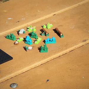 Terrarium | Original Board Game (STL and Colored 3mf)