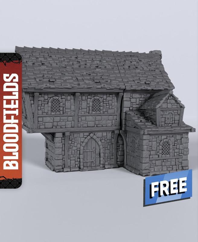 Large Building – With Free Dragon  – 5e DnD Inspired for RPG and Wargamers