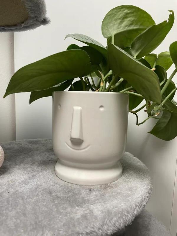 Smile Flowerpot