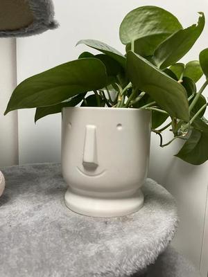 Smile Flowerpot