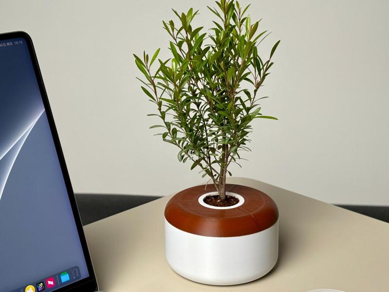Apple Store Style Desktop Planter