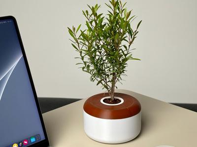 Apple Store Style Desktop Planter