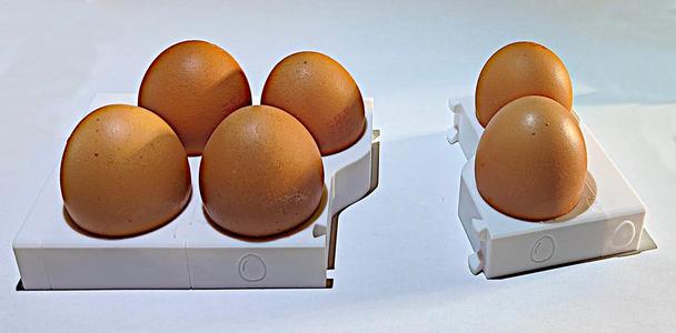 Porte-Oeuf Compatible frigo Ikea
