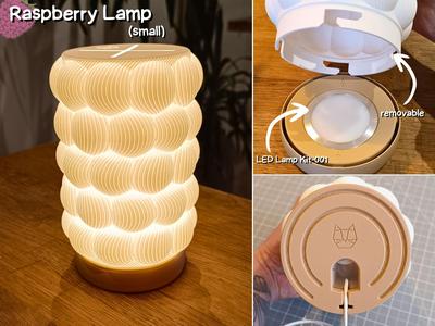 small Raspberry lamp for LED lamp Kit-001