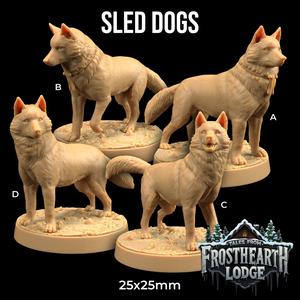 Sled Dogs