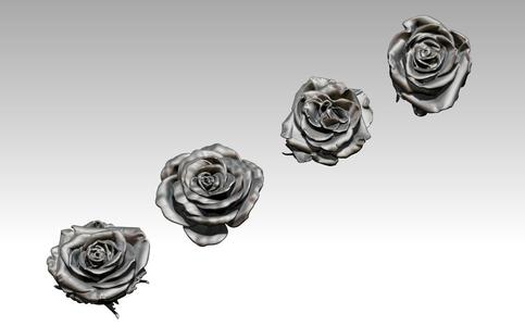 Flower Rose Set of 4 pcs