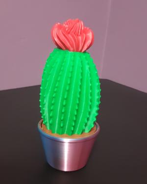 Cash Stash Cactus – Cashtus – Support Free