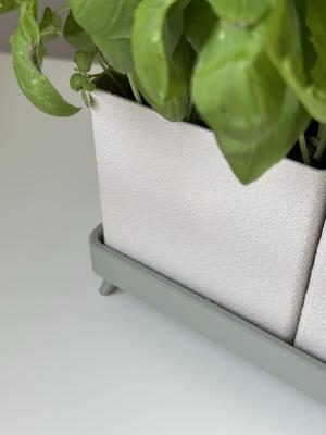 TRUHLIK V2 herb planter