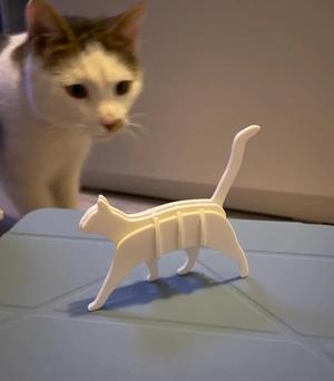 Walking Cat Kit Card