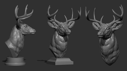 White tailed deer bust