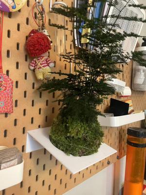 Moss ball holder for Ikea Skadis; Moss ball holder for Ikea Skadis