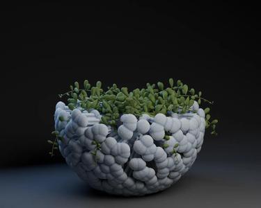 Phospholipid Membrane Vesicle Pot