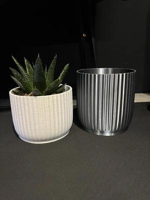 Flower Pot