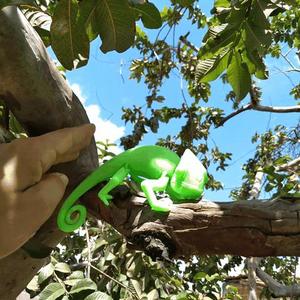 chameleon flexi print
