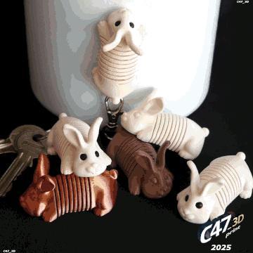 Springy Bunny
