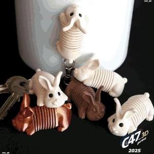 Springy Bunny