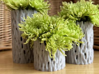 Banyan Tree Vase