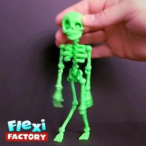 Cute Flexi Print-in-Place Skeleton