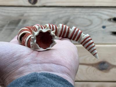 Mini sandworm