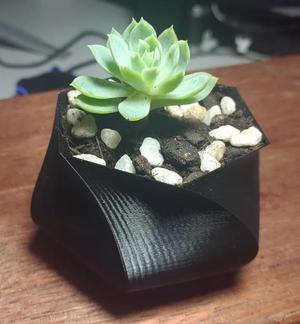 Geometric pot