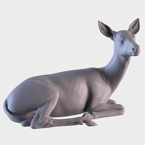 Deer lying down