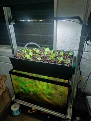 Desktop Aquaponic Garden