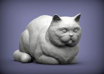 british shorthair cat