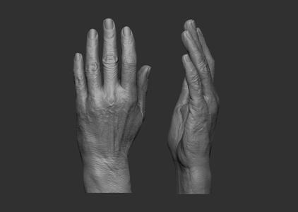 Elderly Female Hand
