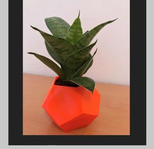 Elegant Vases/ Flowerpots
