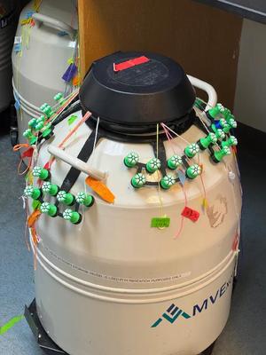 FalconTamer - CryoDewar Sample Organizer   
