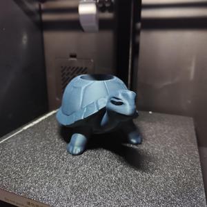 Little Cute Turtle Plantpot