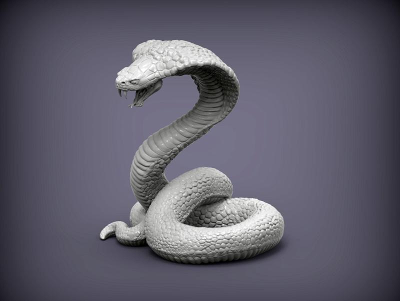 cobra snake