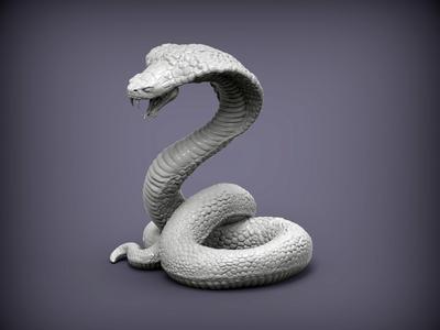 cobra snake