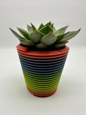 Helix Planter / Spiral Planter