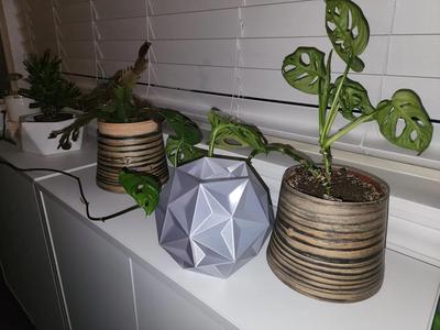 Star Dodecahedron (Solid or Vase Mode)